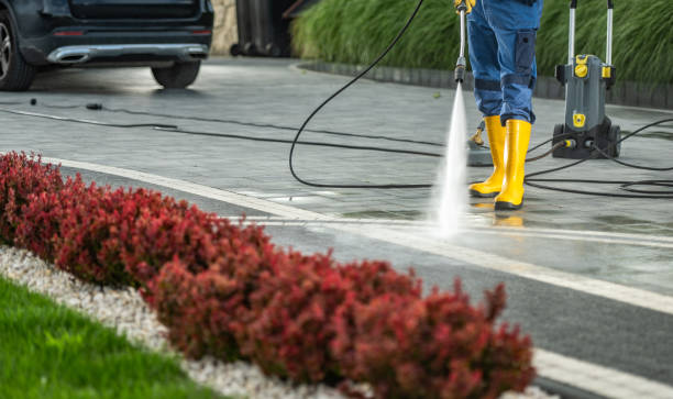 Best Soft Washing  in Wellington, TX